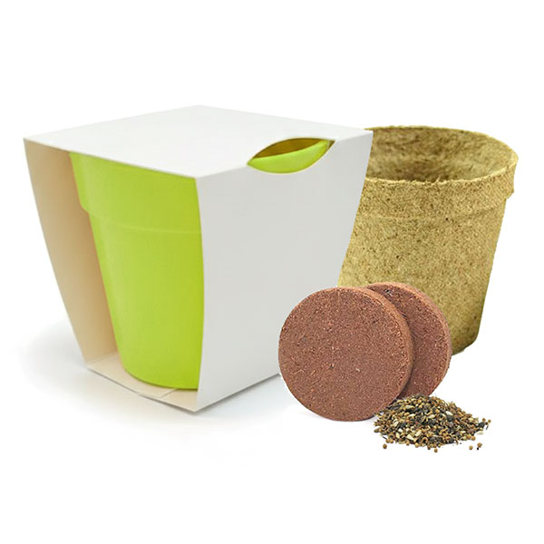 Q059 Bamboo Pot Garden