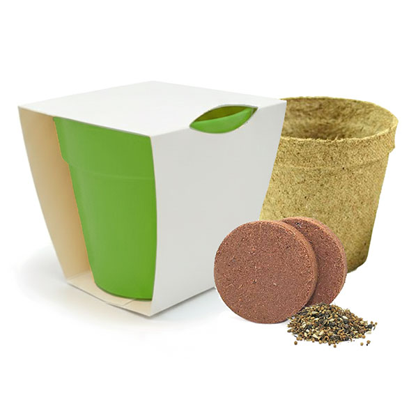 Q059 Bamboo Pot Garden