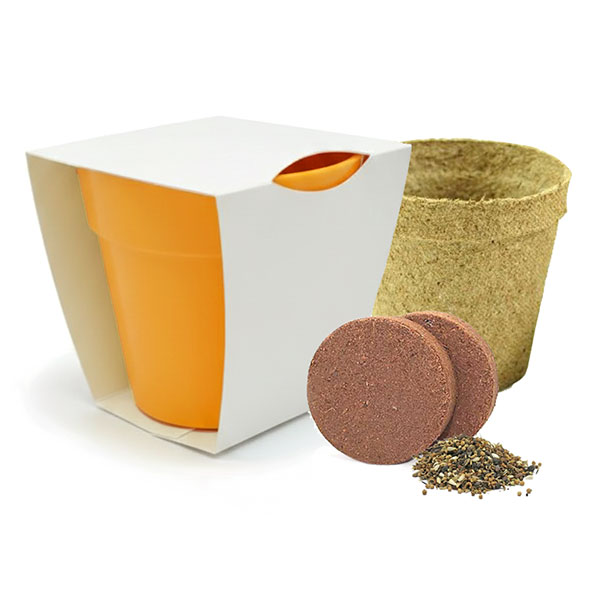 Q059 Bamboo Pot Garden