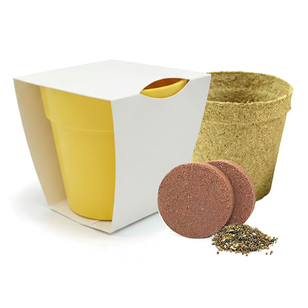 Q059 Bamboo Pot Garden