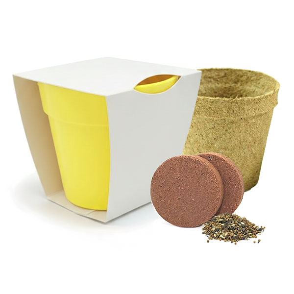 Q059 Bamboo Pot Garden