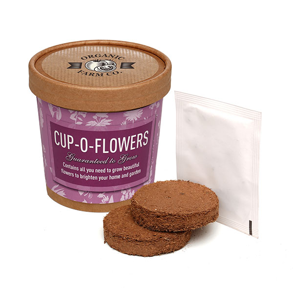 Q059 Paper Cup Grow Kit
