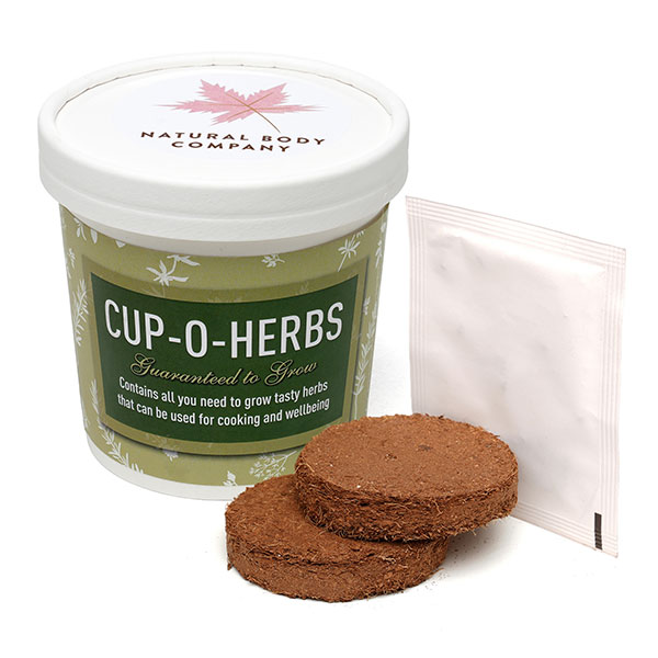 Q059 Paper Cup Grow Kit