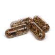 Q058 Seed Matchbox