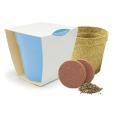 Q059 Bamboo Pot Garden