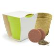 Q059 Bamboo Pot Garden