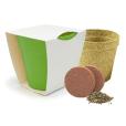 Q059 Bamboo Pot Garden