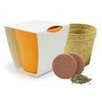 Q059 Bamboo Pot Garden