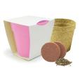Q059 Bamboo Pot Garden