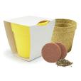 Q059 Bamboo Pot Garden