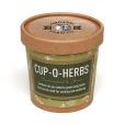 Q059 Paper Cup Grow Kit