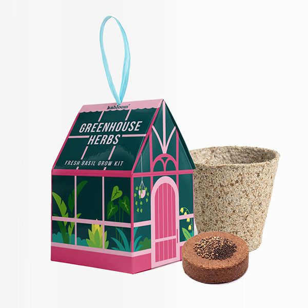 Q058 Hanging House Seed Kit
