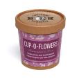 Q059 Paper Cup Grow Kit