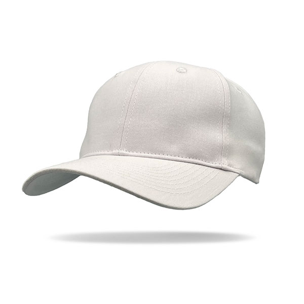 Q172 Beyond Wolf Brushed Cotton Cap