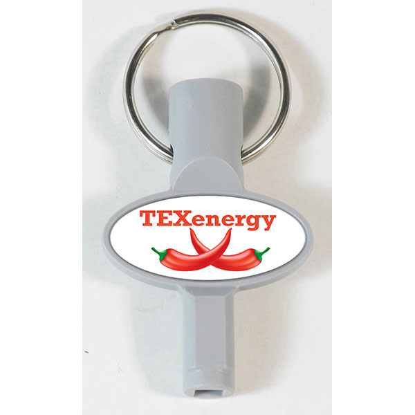 N040 Radiator and Meter Box Key Fob