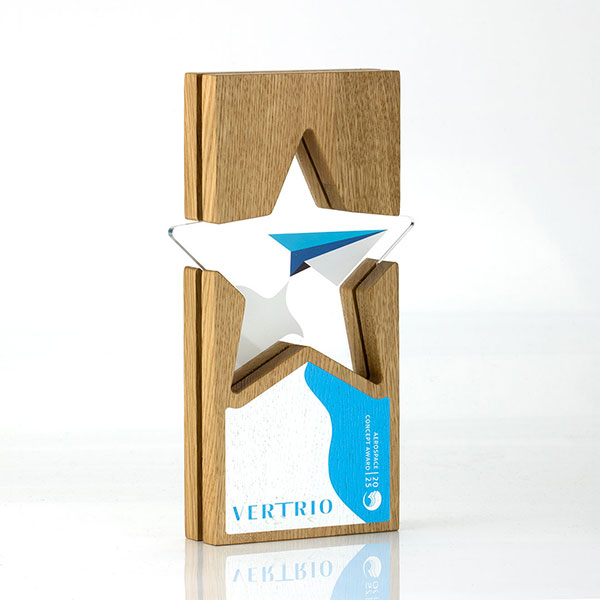 Q096 Acrylic Inset Star Award