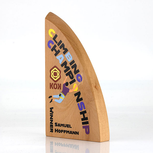 Q096 Solid Beech Faceted Award
