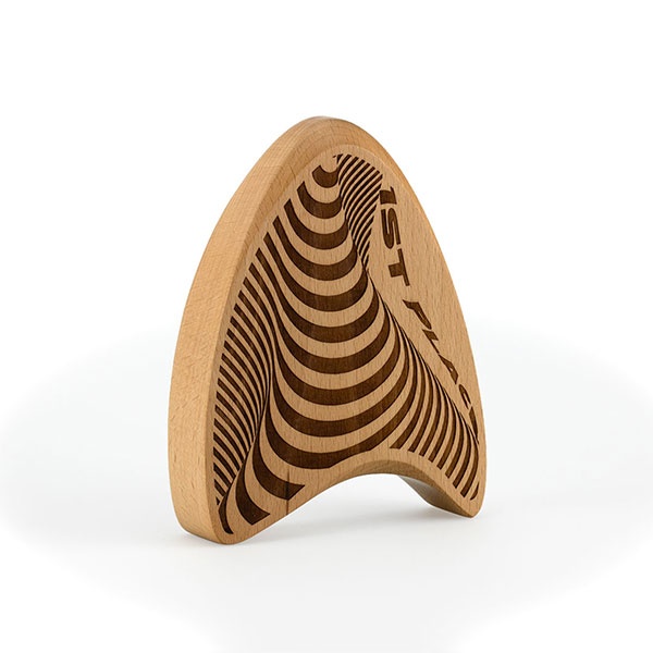 Q096 Solid Beech Faceted Award