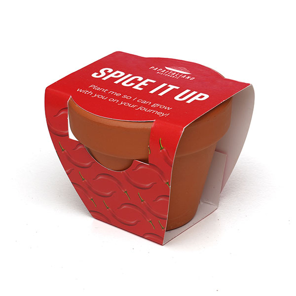 Q059 Terracotta Flower Pot