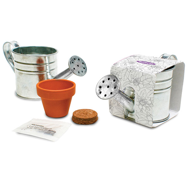 Q059 Zinc Bucket Watering Can