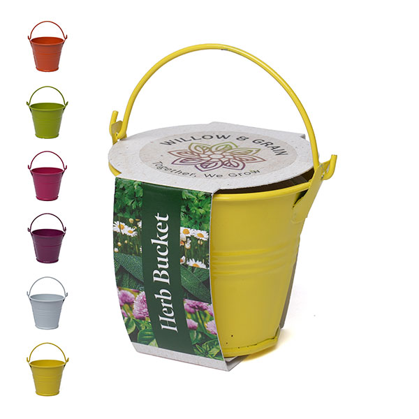 Q059 Coloured Mini Bucket Grow Kit
