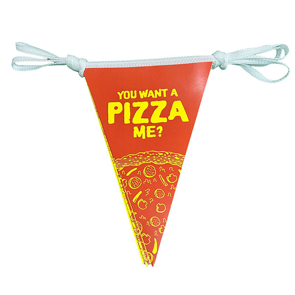 N074 Bunting - White Triangular Pennants