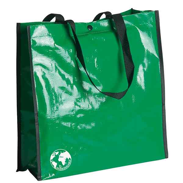 H101 Biodegradable Shopping Bag