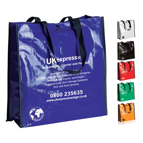 H101 Biodegradable Shopping Bag