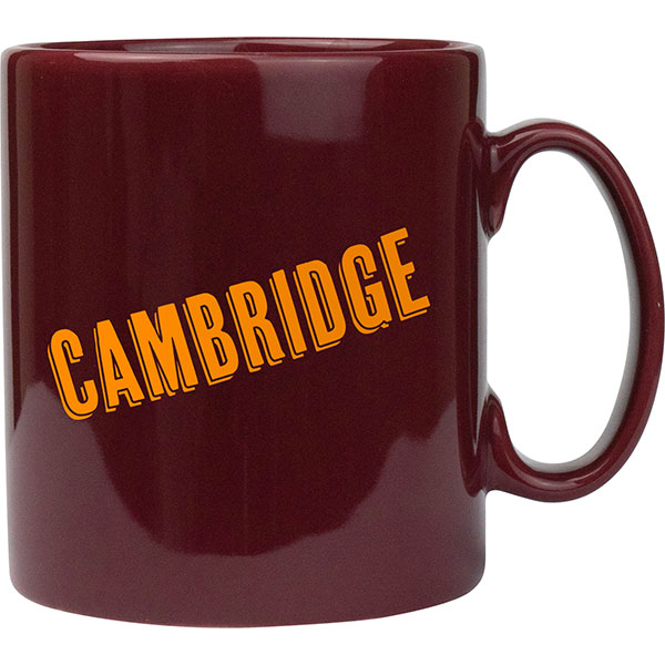 M022 Cambridge Mug - Coloured