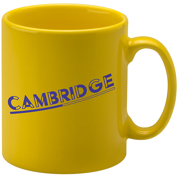 N094 Cambridge Mug - Coloured