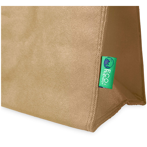 H096 Triangle Non-Woven Cooler Bag