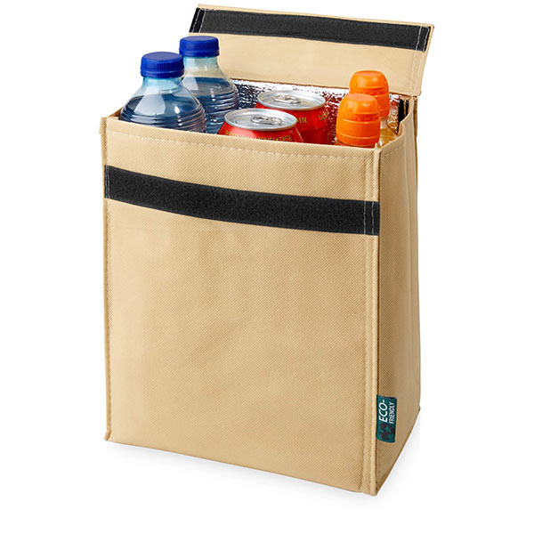 H096 Triangle Non-Woven Cooler Bag