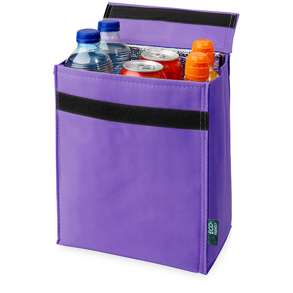 H096 Triangle Non-Woven Cooler Bag