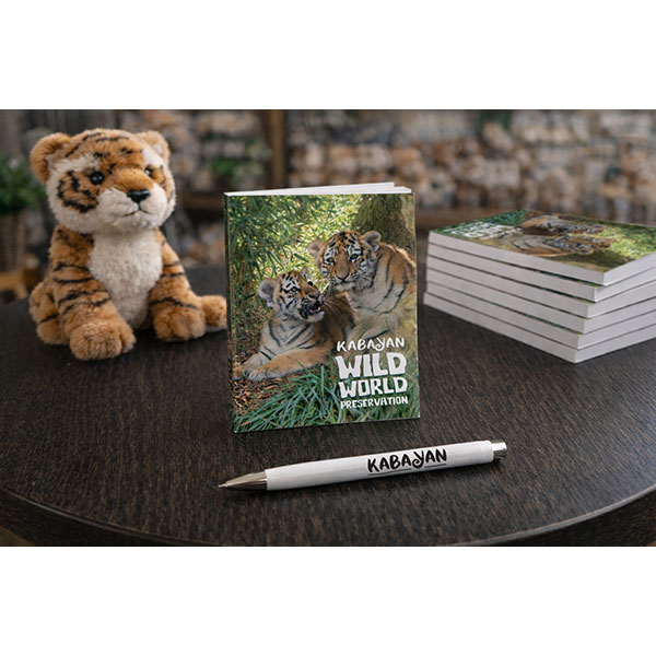 Q126 A6 Smart Book