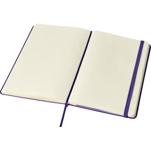 M070 Moleskine Classic Large Notebook - Spot Colour