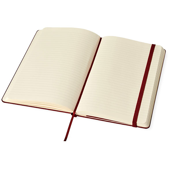 N146 Moleskine Classic Large Notebook - Spot Colour