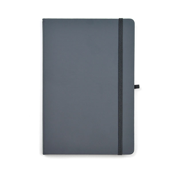 N149 A5 Mole Notebook - Spot Colour