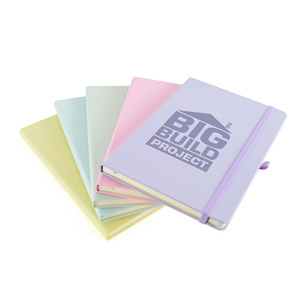 N149 A5 Mole Notebook - Spot Colour