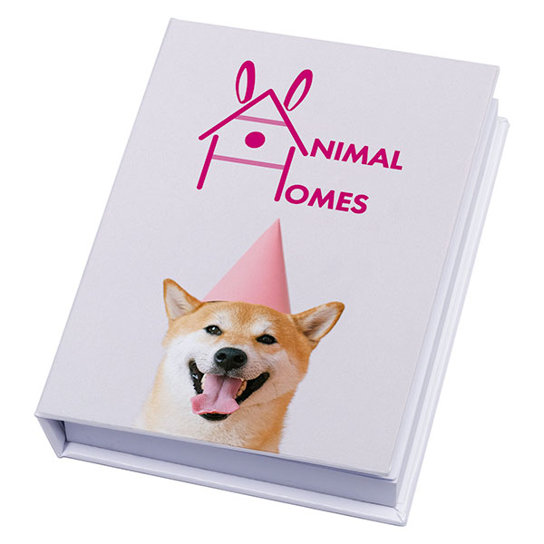 N140  NoteStix Hardback Combi Set - Spot Colour (Sticky Notes)