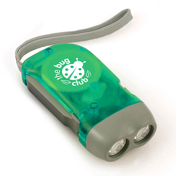 N041 Beech Dynamo Torch - Spot Colour