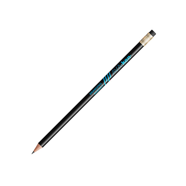 Q121 BIC Evolution Ecolutions Eraser Pencil - Full Colour