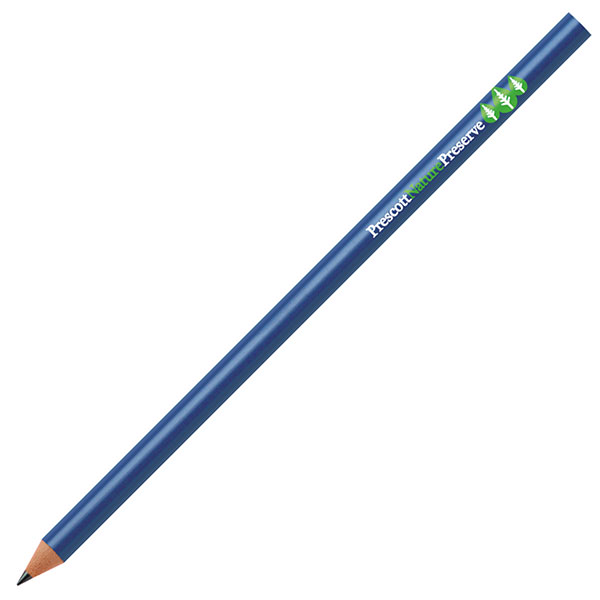 H035 Bic Evolution Ecolutions Pencil