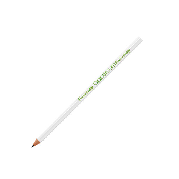 H035 Bic Evolution Ecolutions Pencil