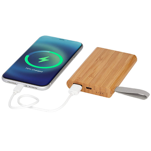 L082 Bamboo 5000mAh Powerbank