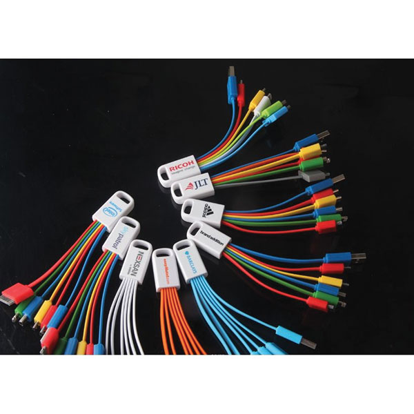 H065 Multi Cable