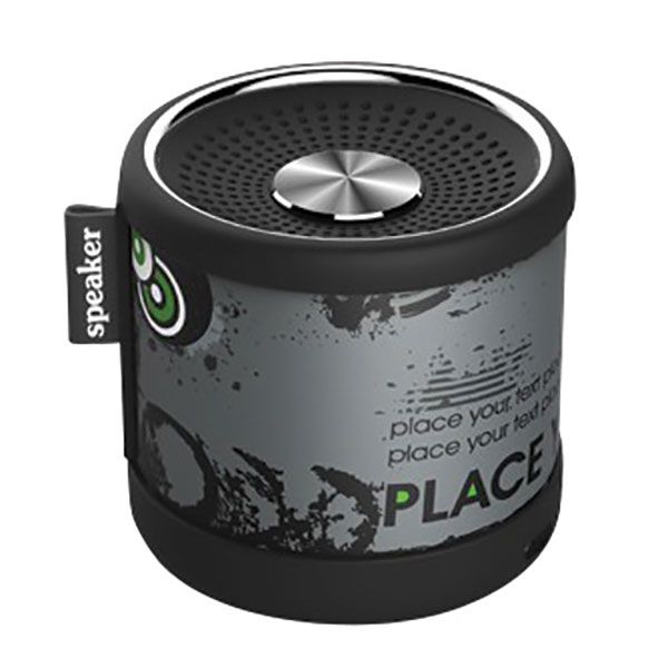 L086 Vinyl Speaker