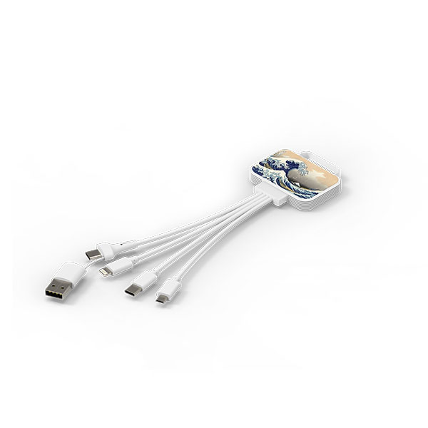 Q019 Billboard 4 in 1 Charging Cable