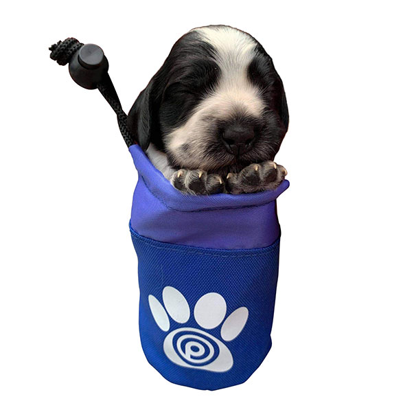 P055 Dog Treat Bag