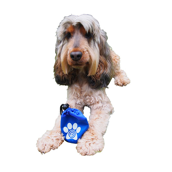 P055 Dog Treat Bag