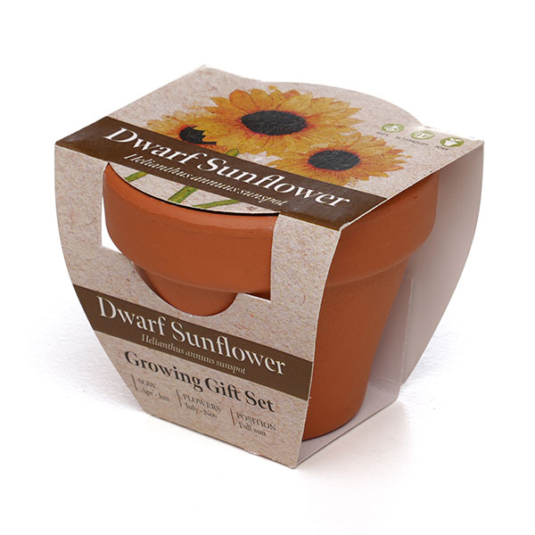 P043 Terracotta Flower Pot